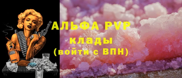 ешки Медногорск