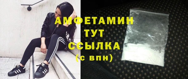ешки Медногорск