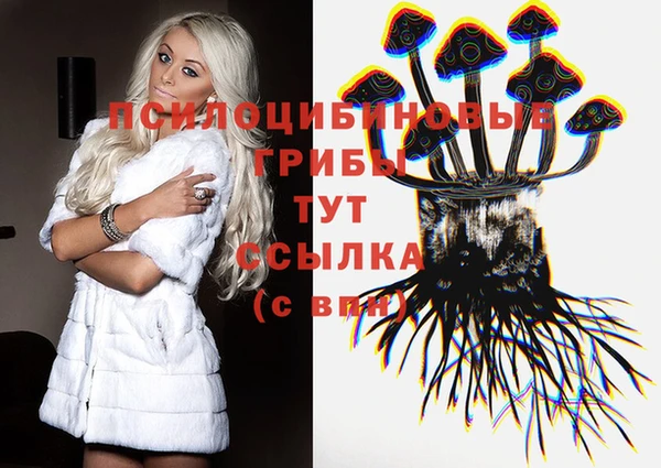 ешки Медногорск