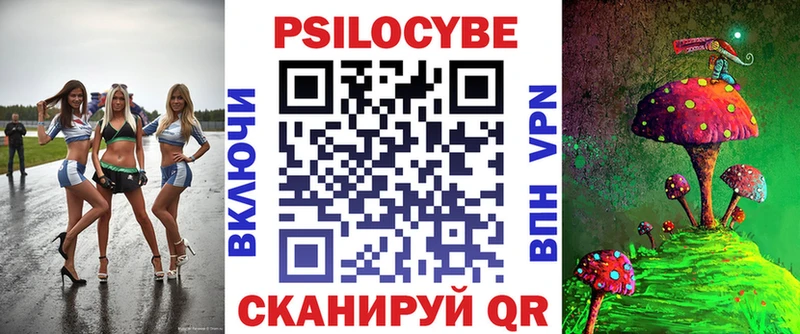 Псилоцибиновые грибы Psilocybe  Кемь 